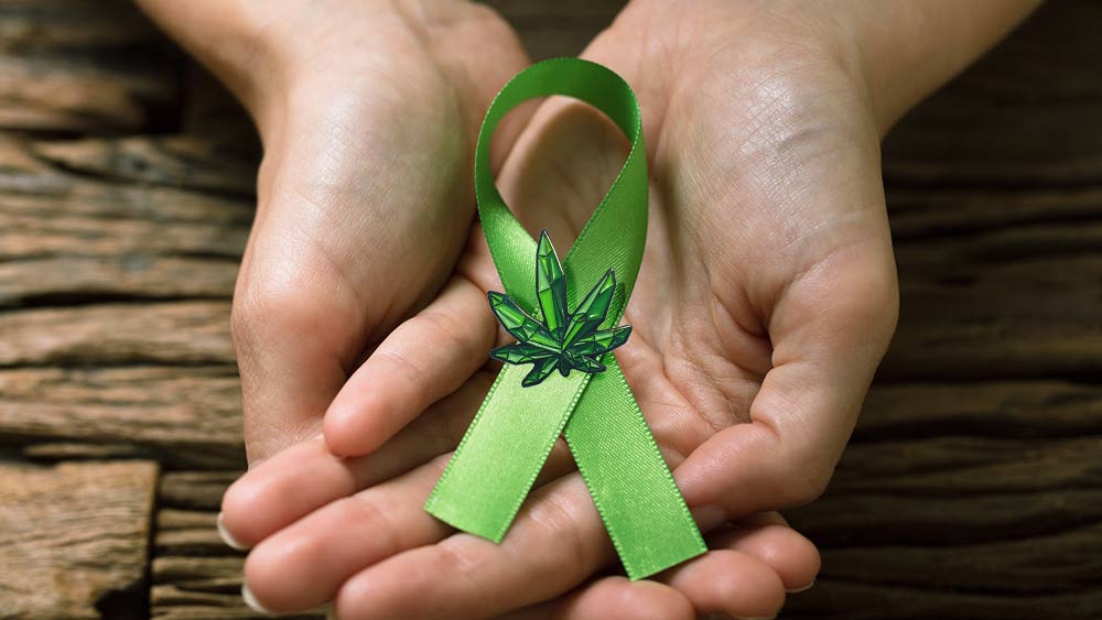 cannabis oil kills cancer